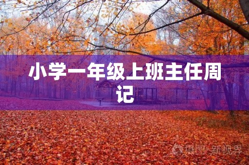 小学一年级上班主任周记