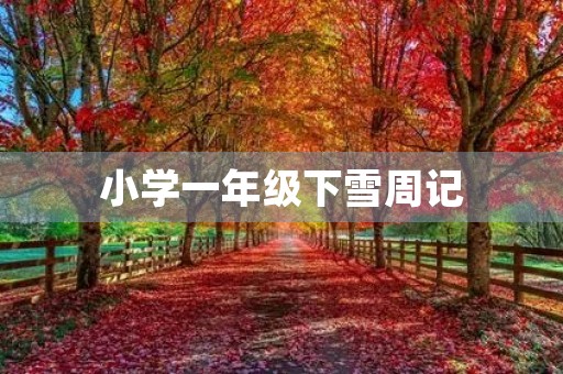 小学一年级下雪周记 小学一年级下雪周记