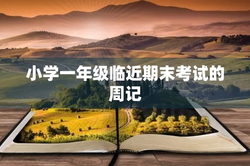 小学一年级临近期末考试的周记