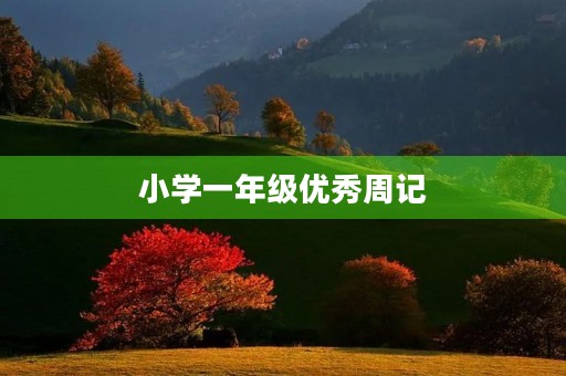 小学一年级优秀周记 小学一年级优秀周记