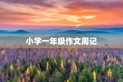 小学一年级作文周记