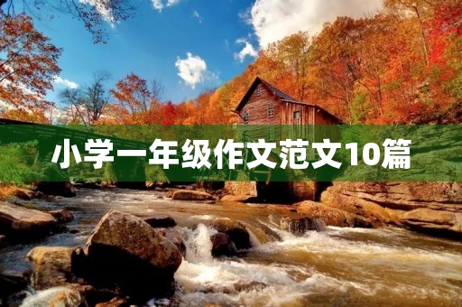 小学一年级作文范文10篇 小学一年级作文范文10篇