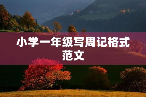 小学一年级写周记格式范文 小学一年级写周记格式范文