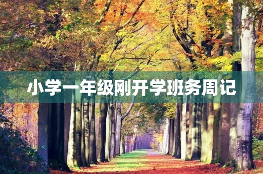 小学一年级刚开学班务周记 小学一年级刚开学班务周记