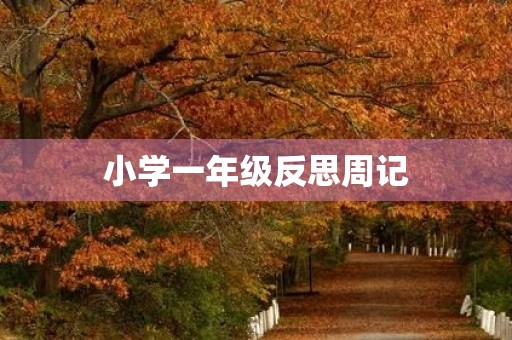 小学一年级反思周记