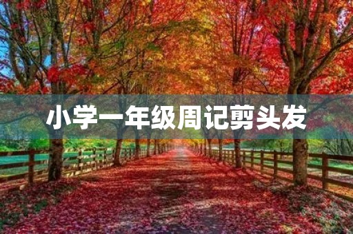小学一年级周记剪头发 小学一年级周记剪头发