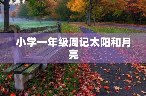 小学一年级周记太阳和月亮 小学一年级周记太阳和月亮