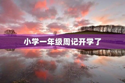 小学一年级周记开学了 小学一年级周记开学了