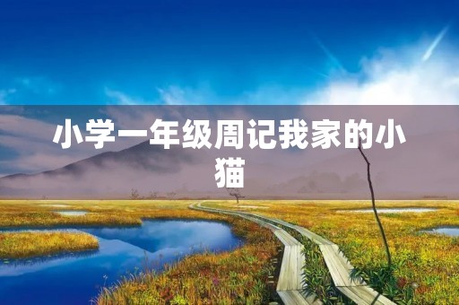 小学一年级周记我家的小猫