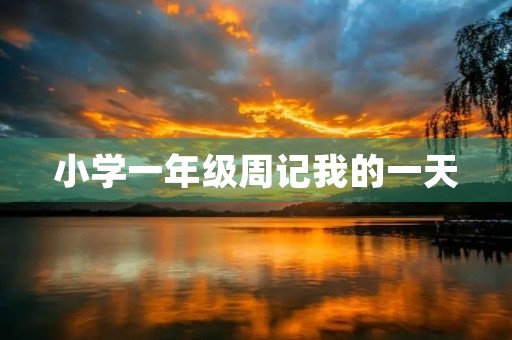 小学一年级周记我的一天