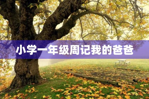 小学一年级周记我的爸爸