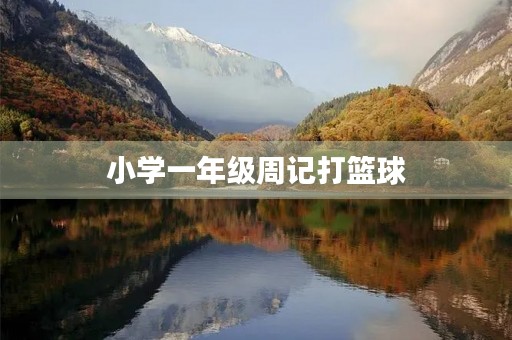 小学一年级周记打篮球