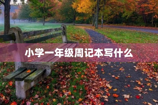 小学一年级周记本写什么 小学一年级周记本写什么
