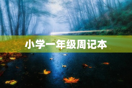 小学一年级周记本