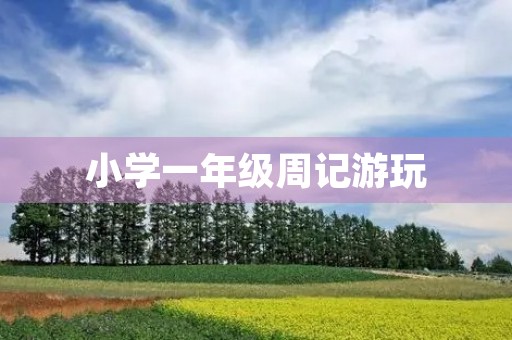小学一年级周记游玩 小学一年级周记游玩