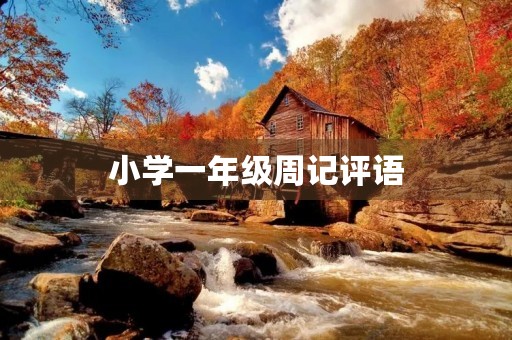 小学一年级周记评语