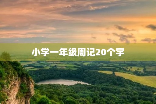 小学一年级周记20个字 小学一年级周记20个字