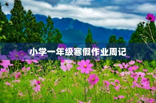 小学一年级寒假作业周记 小学一年级寒假作业周记