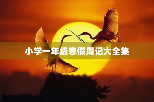 小学一年级寒假周记大全集 小学一年级寒假周记大全集