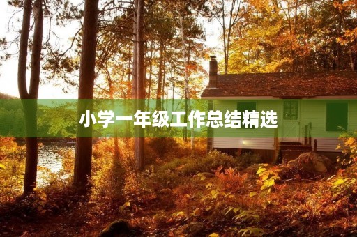 小学一年级工作总结精选