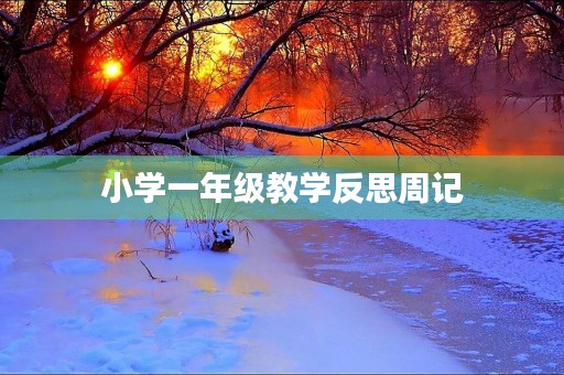 小学一年级教学反思周记 小学一年级教学反思周记