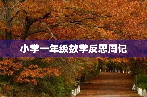 小学一年级数学反思周记 小学一年级数学反思周记