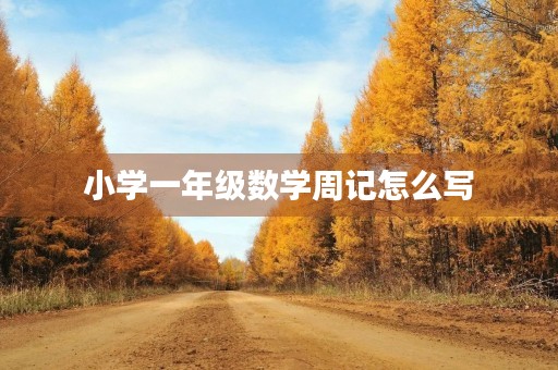 小学一年级数学周记怎么写