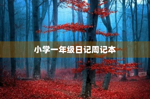 小学一年级日记周记本 小学一年级日记周记本