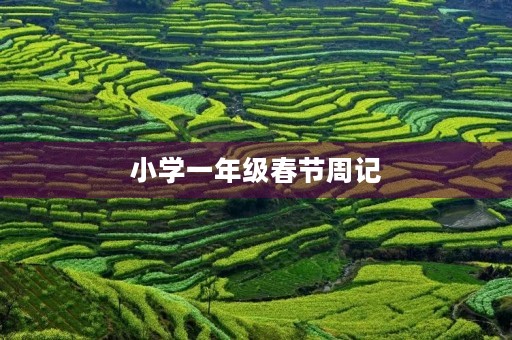 小学一年级春节周记