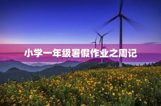 小学一年级暑假作业之周记 小学一年级暑假作业之周记