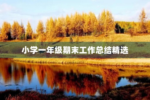 小学一年级期末工作总结精选