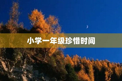 小学一年级珍惜时间(小学一年级珍惜时间的名言名句)