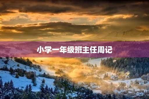 小学一年级班主任周记