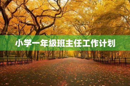 小学一年级班主任工作计划