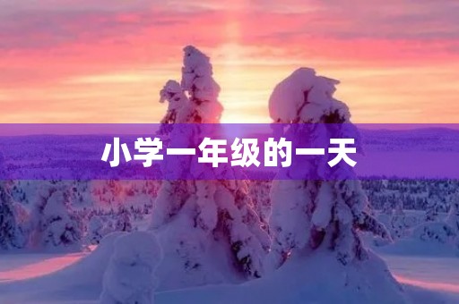 小学一年级的一天