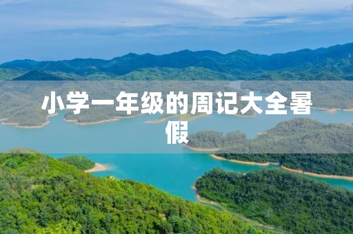 小学一年级的周记大全暑假