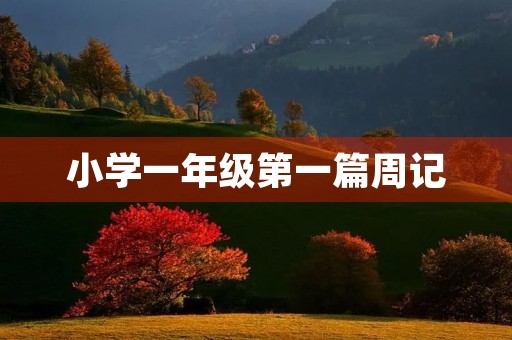 小学一年级第一篇周记 小学一年级第一篇周记