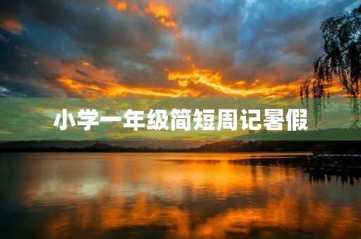 小学一年级简短周记暑假