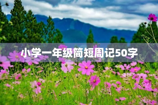 小学一年级简短周记50字