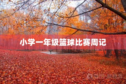 小学一年级篮球比赛周记