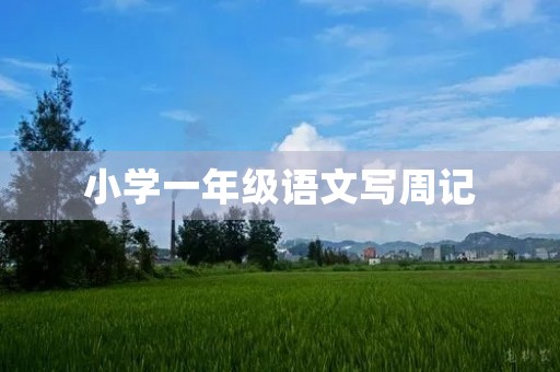 小学一年级语文写周记 小学一年级语文写周记
