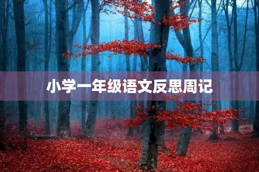 小学一年级语文反思周记