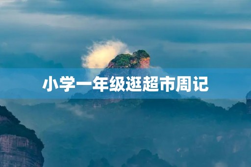 小学一年级逛超市周记