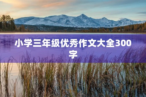 小学三年级优秀作文大全300字 小学三年级优秀作文大全300字