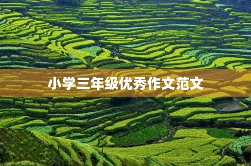 小学三年级优秀作文范文