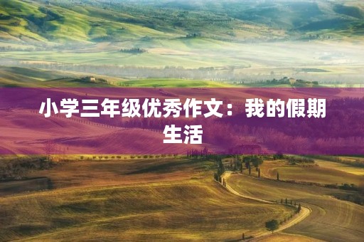 小学三年级优秀作文：我的假期生活