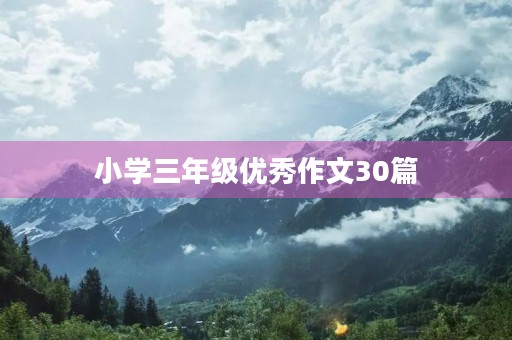 小学三年级优秀作文30篇