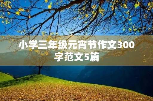 小学三年级元宵节作文300字范文5篇
