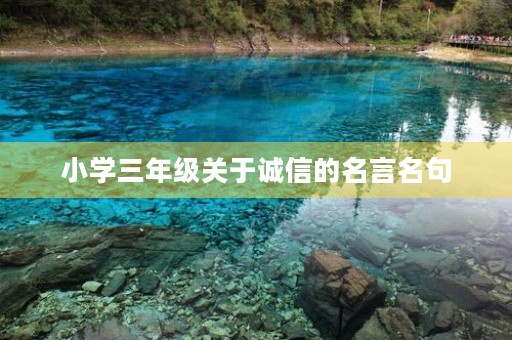 小学三年级关于诚信的名言名句，小学三年级关于诚信的名言名句大全
