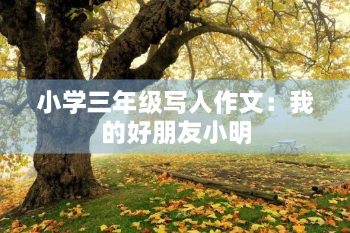 小学三年级写人作文：我的好朋友小明